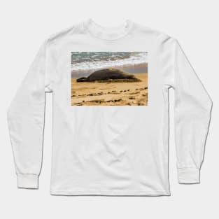 Hawaiian monk seal Long Sleeve T-Shirt